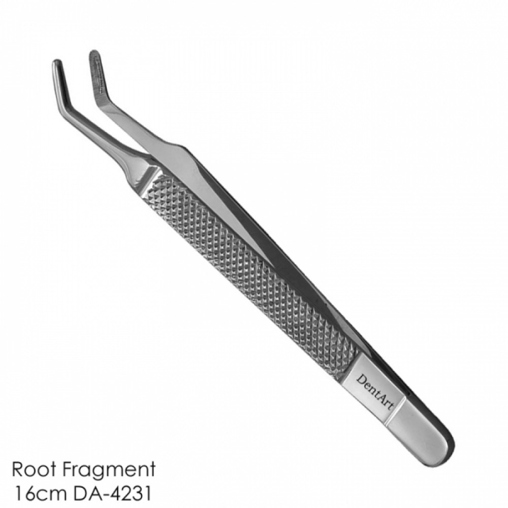 Root Fragment